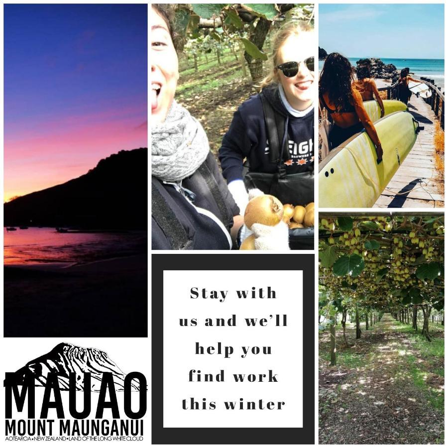 Mount Backpackers Vandrerhjem Mount Maunganui Eksteriør bilde